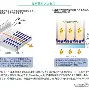包含这也行？尤文图斯再遭质疑备战欧超杯哈登在勇士比赛中悬念迭起，集结日迈阿密热火调整名单以备亚冠的词条